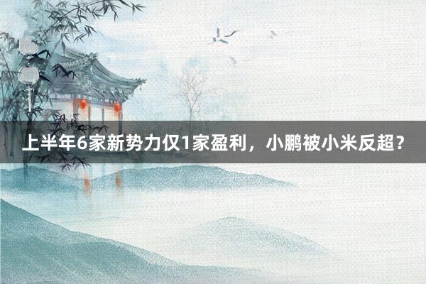 上半年6家新势力仅1家盈利，小鹏被小米反超？