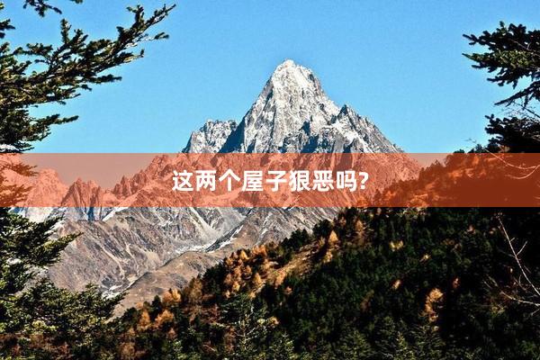 这两个屋子狠恶吗?