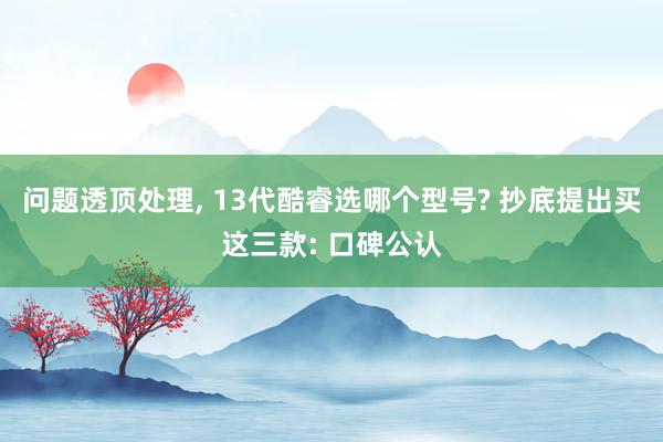 问题透顶处理, 13代酷睿选哪个型号? 抄底提出买这三款: 口碑公认