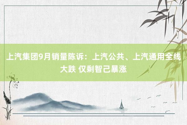 上汽集团9月销量陈诉：上汽公共、上汽通用全线大跌 仅剩智己暴涨