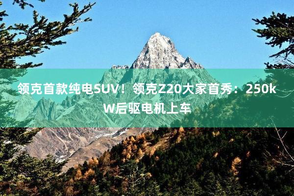 领克首款纯电SUV！领克Z20大家首秀：250kW后驱电机上车
