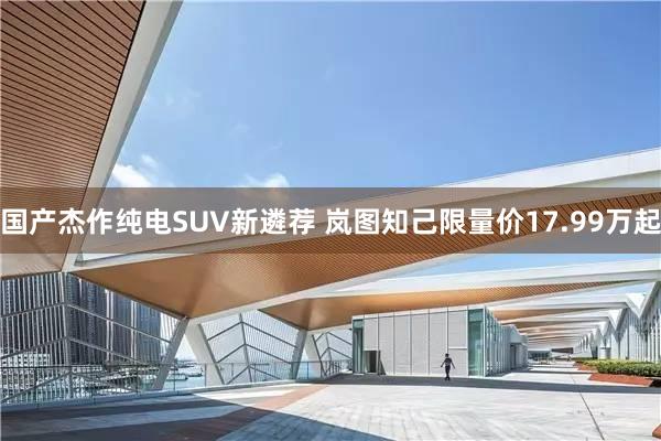 国产杰作纯电SUV新遴荐 岚图知己限量价17.99万起