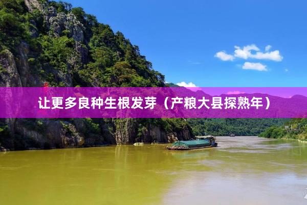 让更多良种生根发芽（产粮大县探熟年）