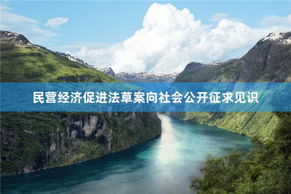 民营经济促进法草案向社会公开征求见识